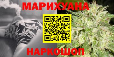 jwh Гатчина