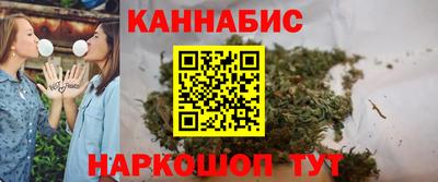 шишки Гай