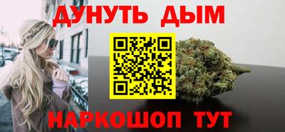 шишки Гай