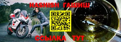 шишки Гай