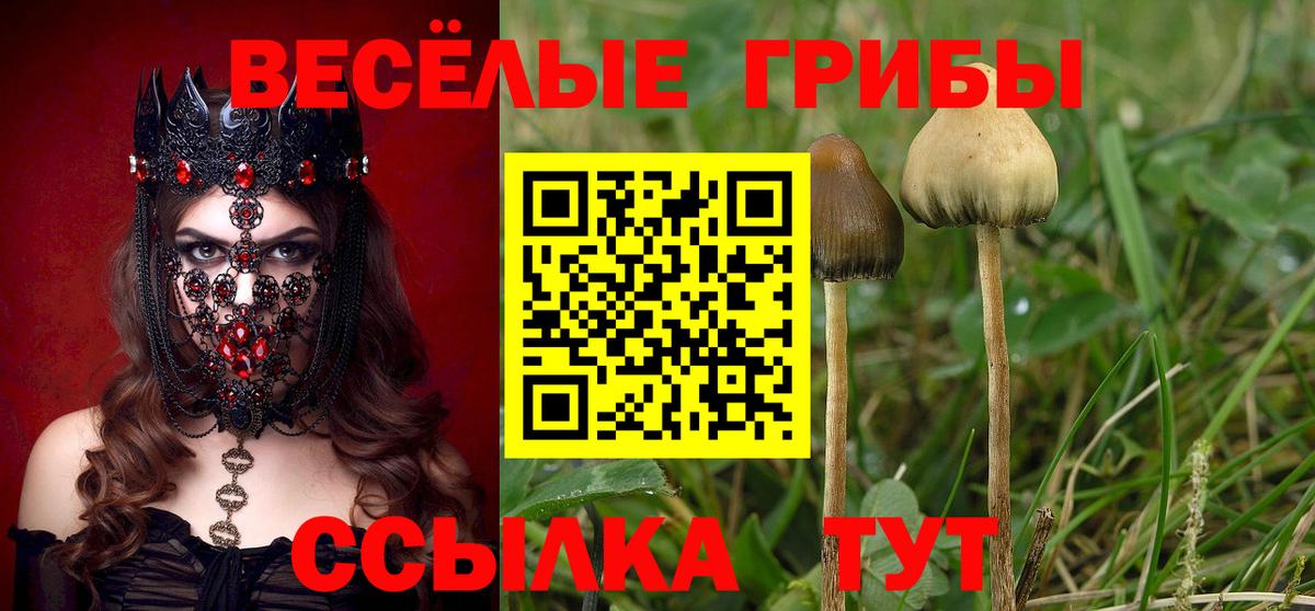Гагарин  Галлюциногенные грибы Psilocybine cubensis  Вход с VPN 